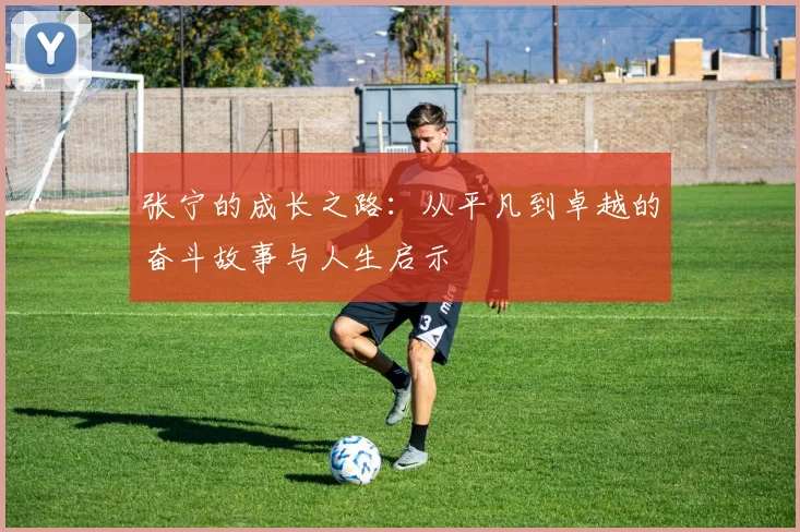 张宁的成长之路：从平凡到卓越的奋斗故事与人生启示