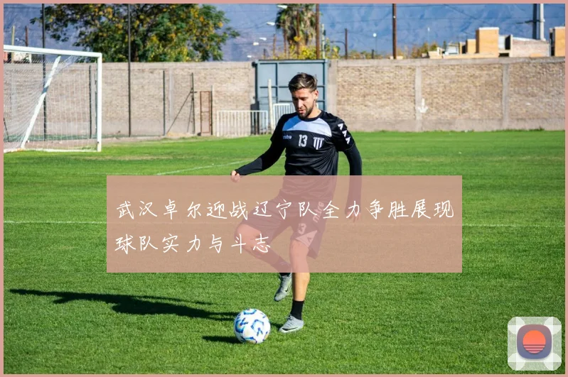 武汉卓尔迎战辽宁队全力争胜展现球队实力与斗志