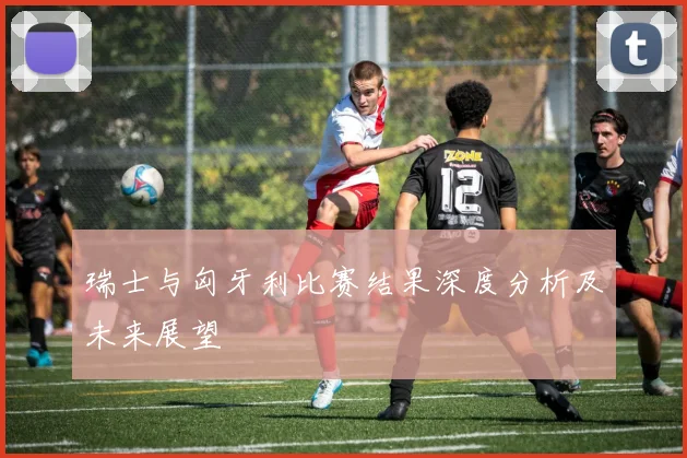 瑞士与匈牙利比赛结果深度分析及未来展望