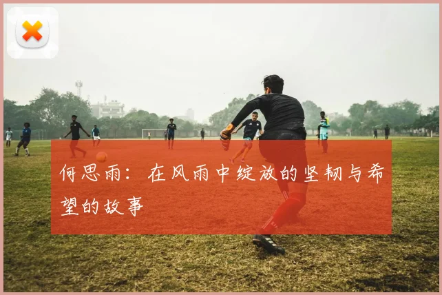 何思雨：在风雨中绽放的坚韧与希望的故事