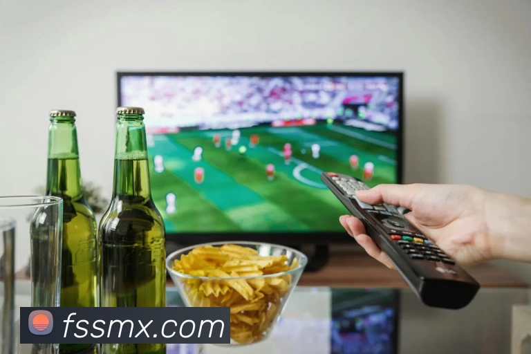 葡萄牙与马其顿的回收策略对比及其环境影响分析